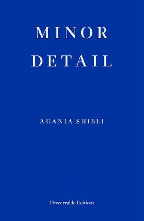 Front cover of Minor Detail